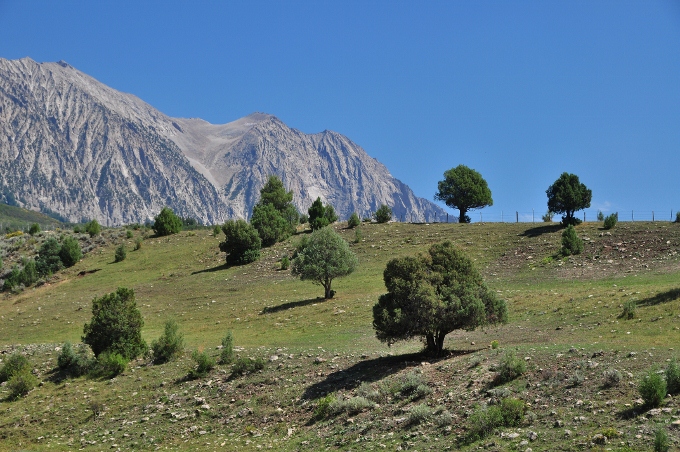 Highway 133 mountains and trees